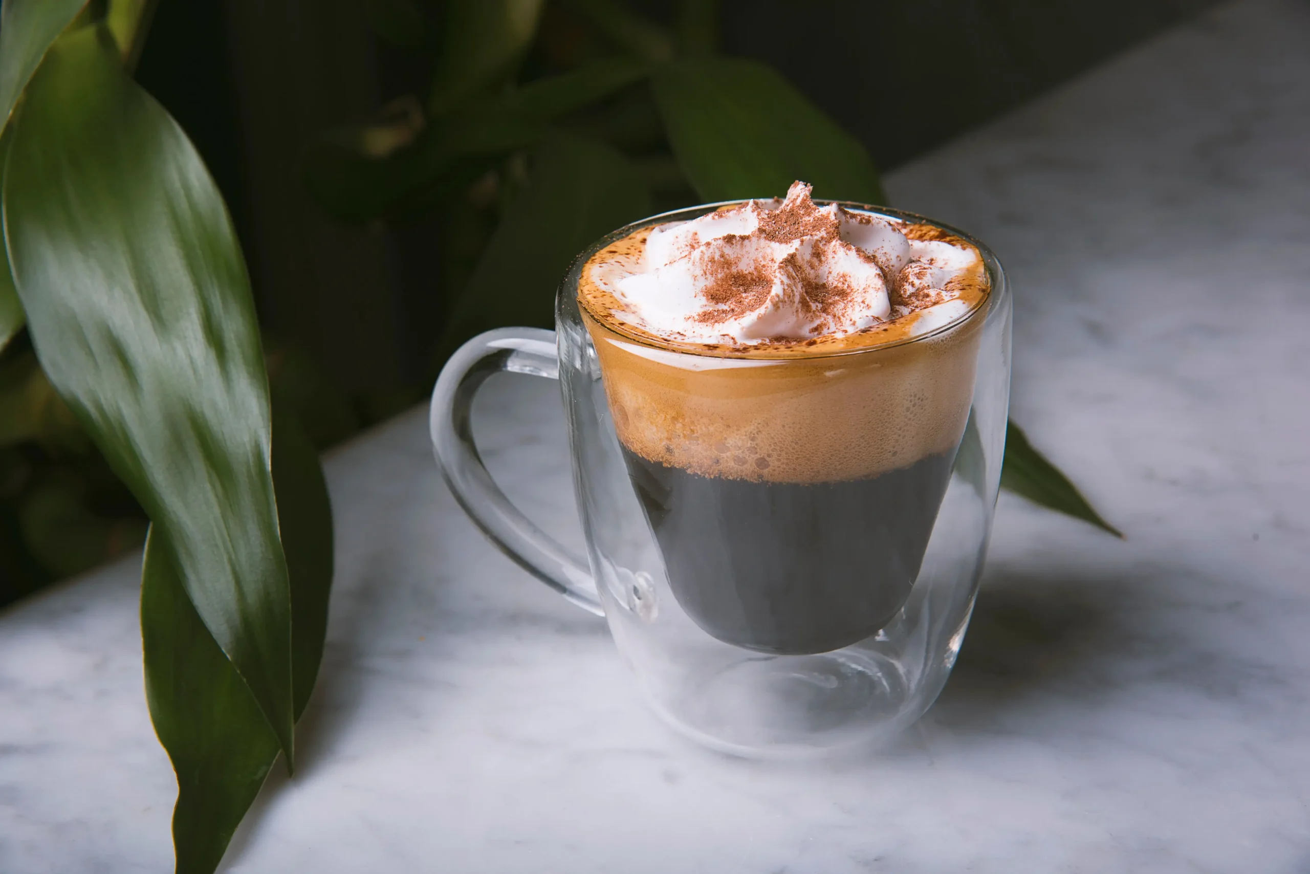 Cappuccino at IDOLIA